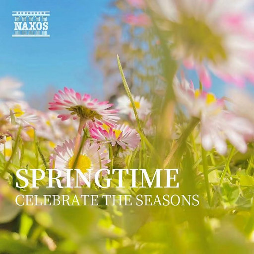 在线视频综合网
